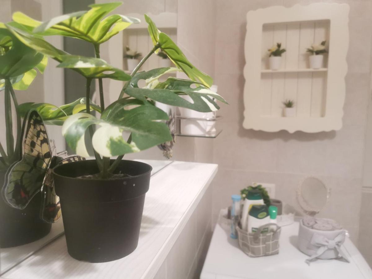 Domus Flavi Casa Vacanza Roma Esterno foto